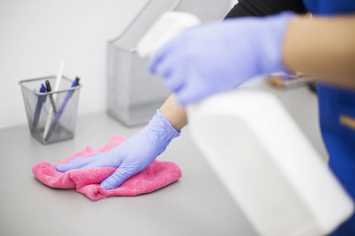 Professional move-in cleaning for a Canary Wharf apartment interior