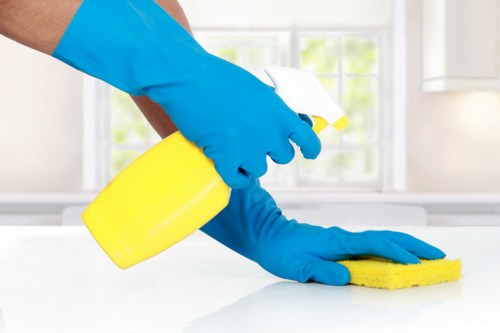 Mattress cleaning service for a modern Canary Wharf apartment bedroom