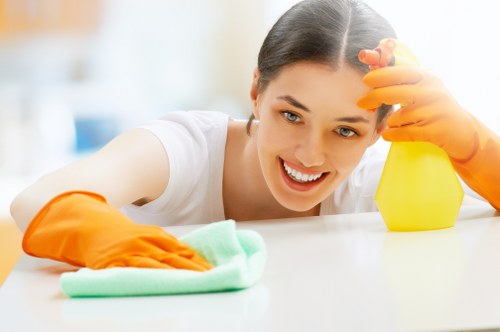 Risk assessment and site safety checks before carpet cleaning