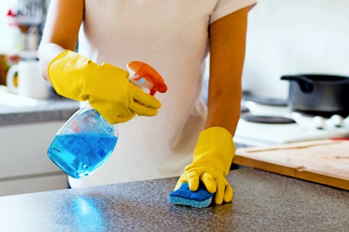 Local cleaner working in a Canary Wharf high-rise apartment