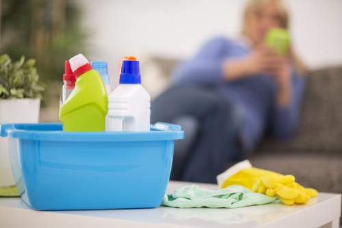 Specialist odour removal for carpet and sofa pet accidents in Docklands