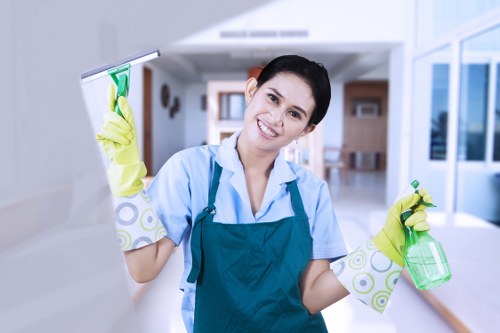 Kitchen and bathroom domestic cleaning tasks in a Canarywharf flat