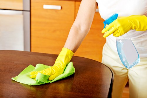 Mattress cleaning for furnished rental properties in Canary Wharf